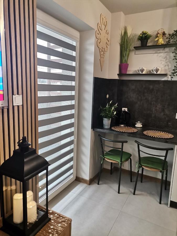 Apartament Gorska Szarotka 新塔尔格 外观 照片