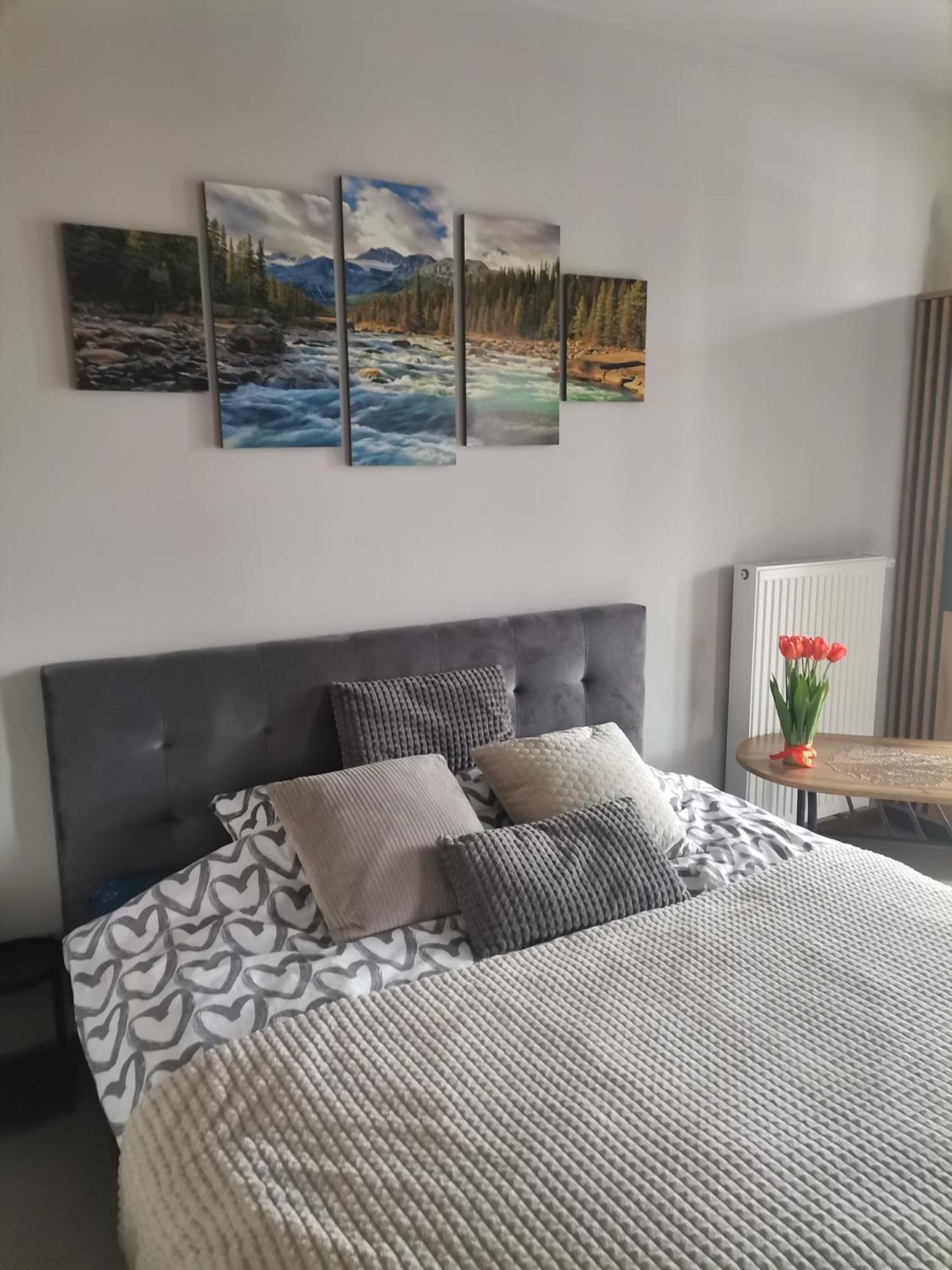 Apartament Gorska Szarotka 新塔尔格 外观 照片
